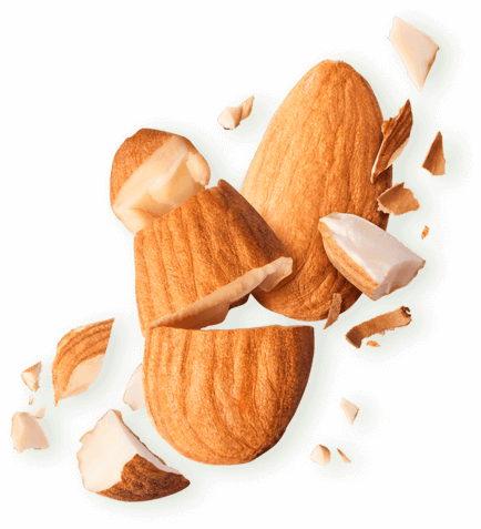 Almond_chunks